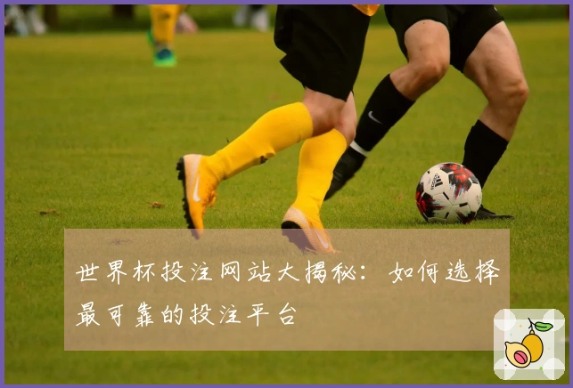 世界杯投注网站大揭秘：如何选择最可靠的投注平台