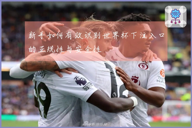 新手如何有效识别世界杯下注入口的正规性与安全性