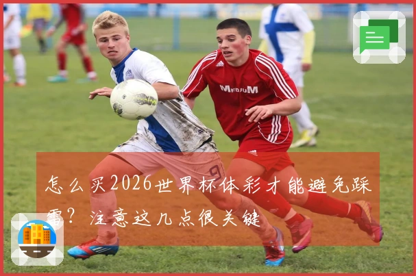 怎么买2026世界杯体彩才能避免踩雷？注意这几点很关键