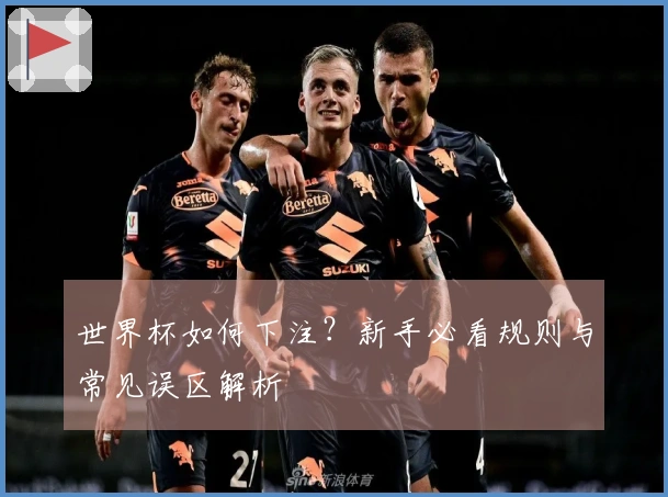 世界杯如何下注？新手必看规则与常见误区解析