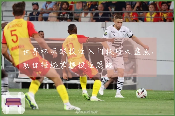 世界杯买球投注入门技巧大盘点，助你轻松掌握投注思路