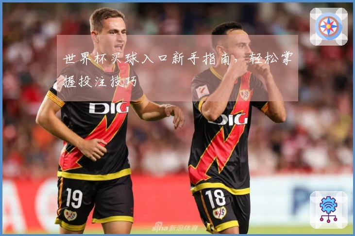 世界杯买球入口新手指南，轻松掌握投注技巧