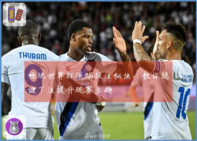 畅玩世界杯滚球投注秘诀，教你稳健下注提升观赛乐趣