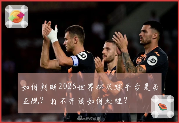 如何判断2026世界杯买球平台是否正规？打不开该如何处理？