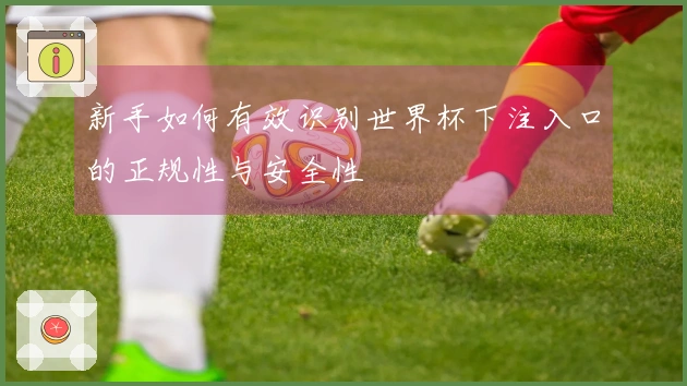 新手如何有效识别世界杯下注入口的正规性与安全性