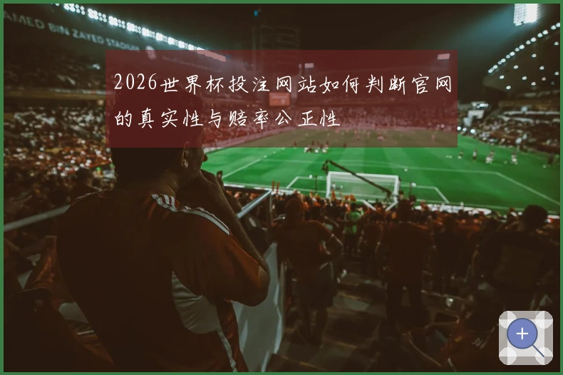2026世界杯投注网站如何判断官网的真实性与赔率公正性