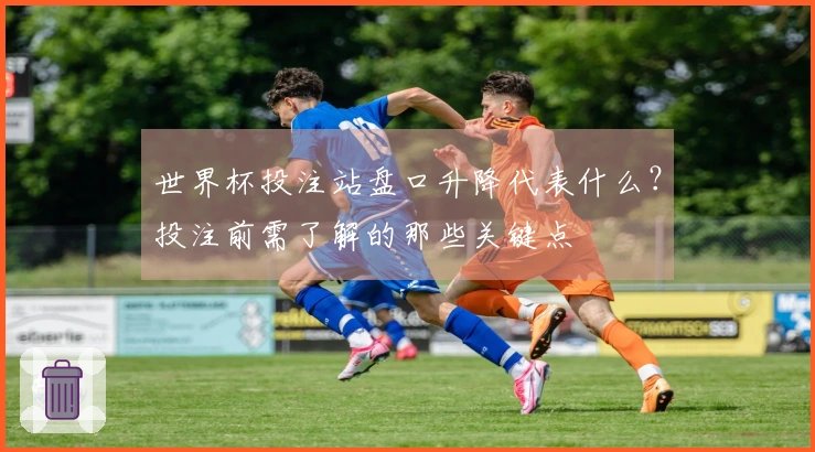 世界杯投注站盘口升降代表什么？投注前需了解的那些关键点