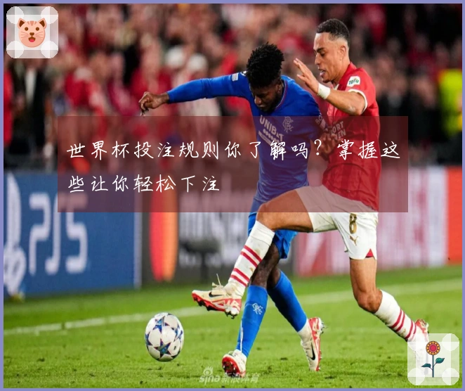世界杯投注规则你了解吗？掌握这些让你轻松下注