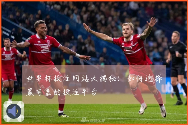 世界杯投注网站大揭秘：如何选择最可靠的投注平台