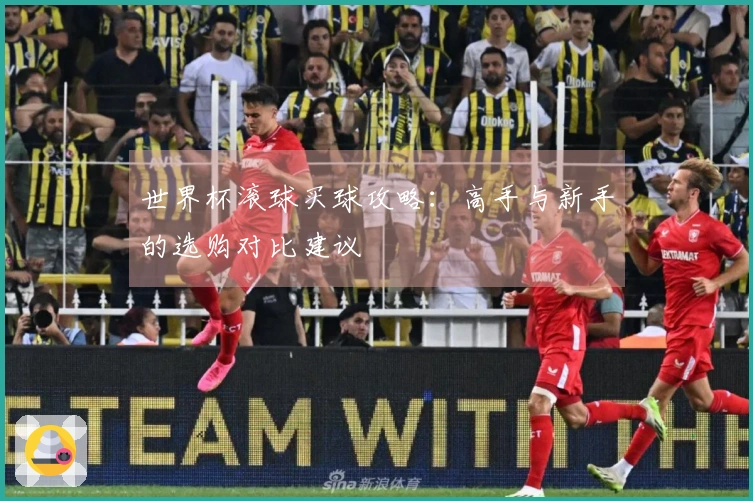 世界杯滚球买球攻略：高手与新手的选购对比建议