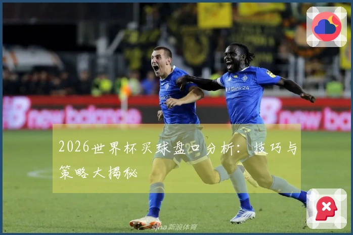 2026世界杯买球盘口分析：技巧与策略大揭秘