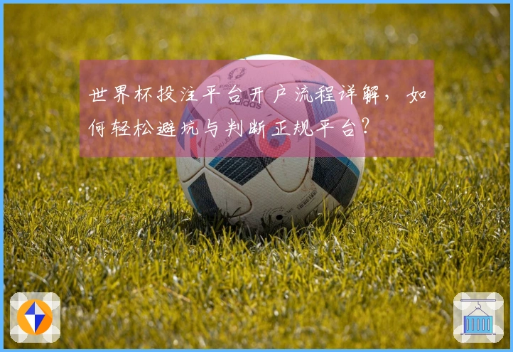 世界杯投注平台开户流程详解，如何轻松避坑与判断正规平台？