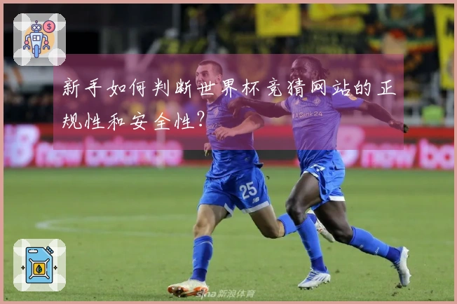 新手如何判断世界杯竞猜网站的正规性和安全性？