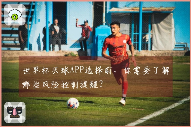 世界杯买球APP选择前，你需要了解哪些风险控制提醒？