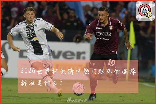 2026世界杯竞猜中热门球队的选择标准是什么？