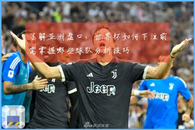 了解亚洲盘口，世界杯如何下注前需掌握哪些球队分析技巧