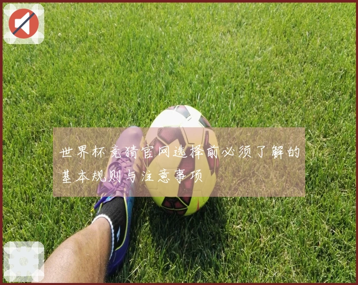 世界杯竞猜官网选择前必须了解的基本规则与注意事项