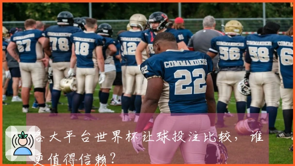 各大平台世界杯让球投注比较，谁更值得信赖？