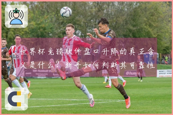 世界杯竞猜软件盘口升降的真正含义是什么？新手如何判断其可靠性和玩法？