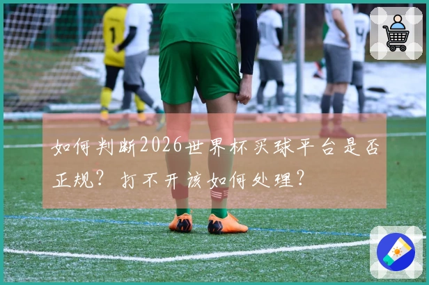 如何判断2026世界杯买球平台是否正规？打不开该如何处理？