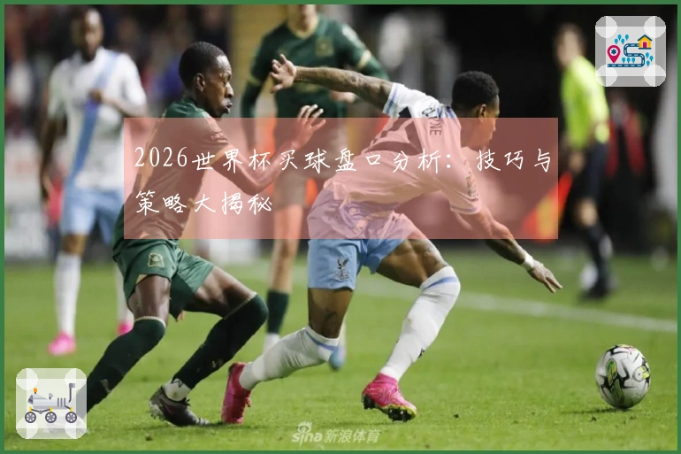 2026世界杯买球盘口分析：技巧与策略大揭秘