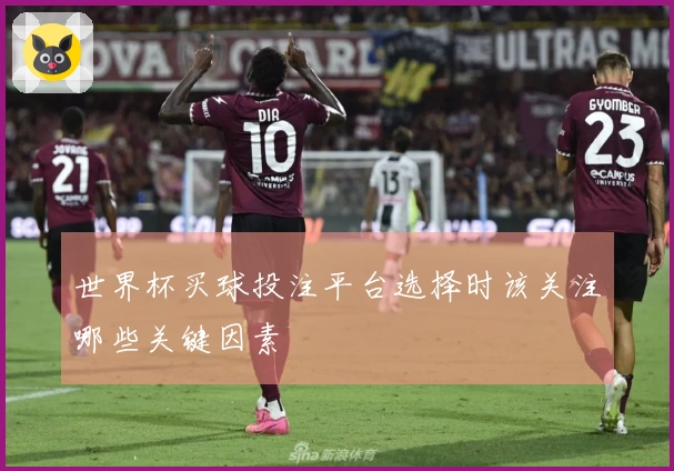 世界杯买球投注平台选择时该关注哪些关键因素