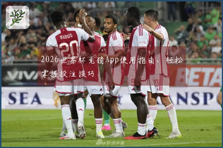 2026世界杯竞猜App使用指南，轻松掌握投注技巧
