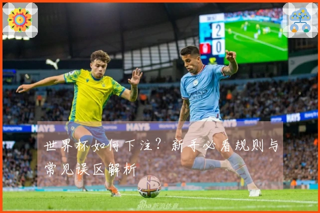 世界杯如何下注？新手必看规则与常见误区解析