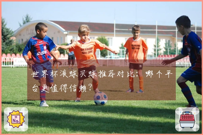 世界杯滚球买球推荐对比：哪个平台更值得信赖？