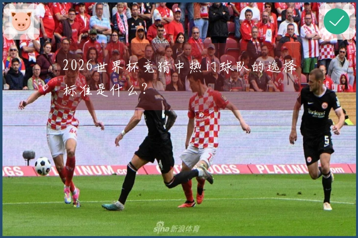 2026世界杯竞猜中热门球队的选择标准是什么？